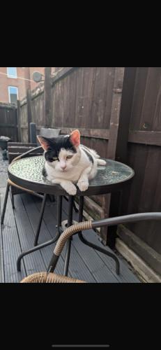Ginny (Sister 0f Molly)