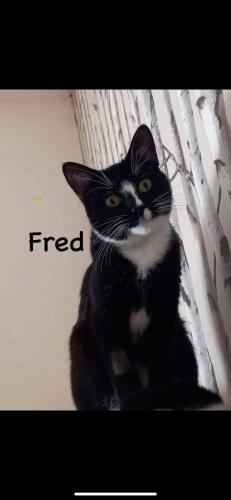 Fred
